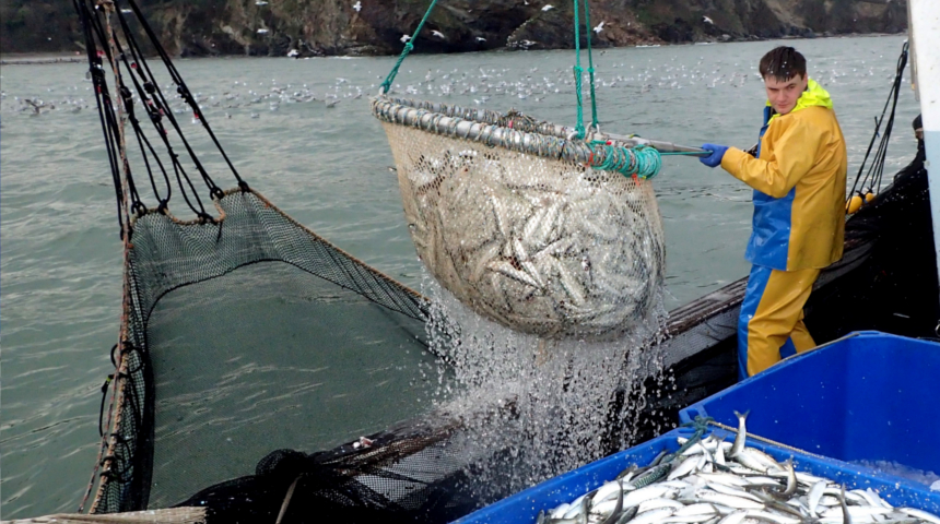 Ring Net Fishery – CORDIOEA